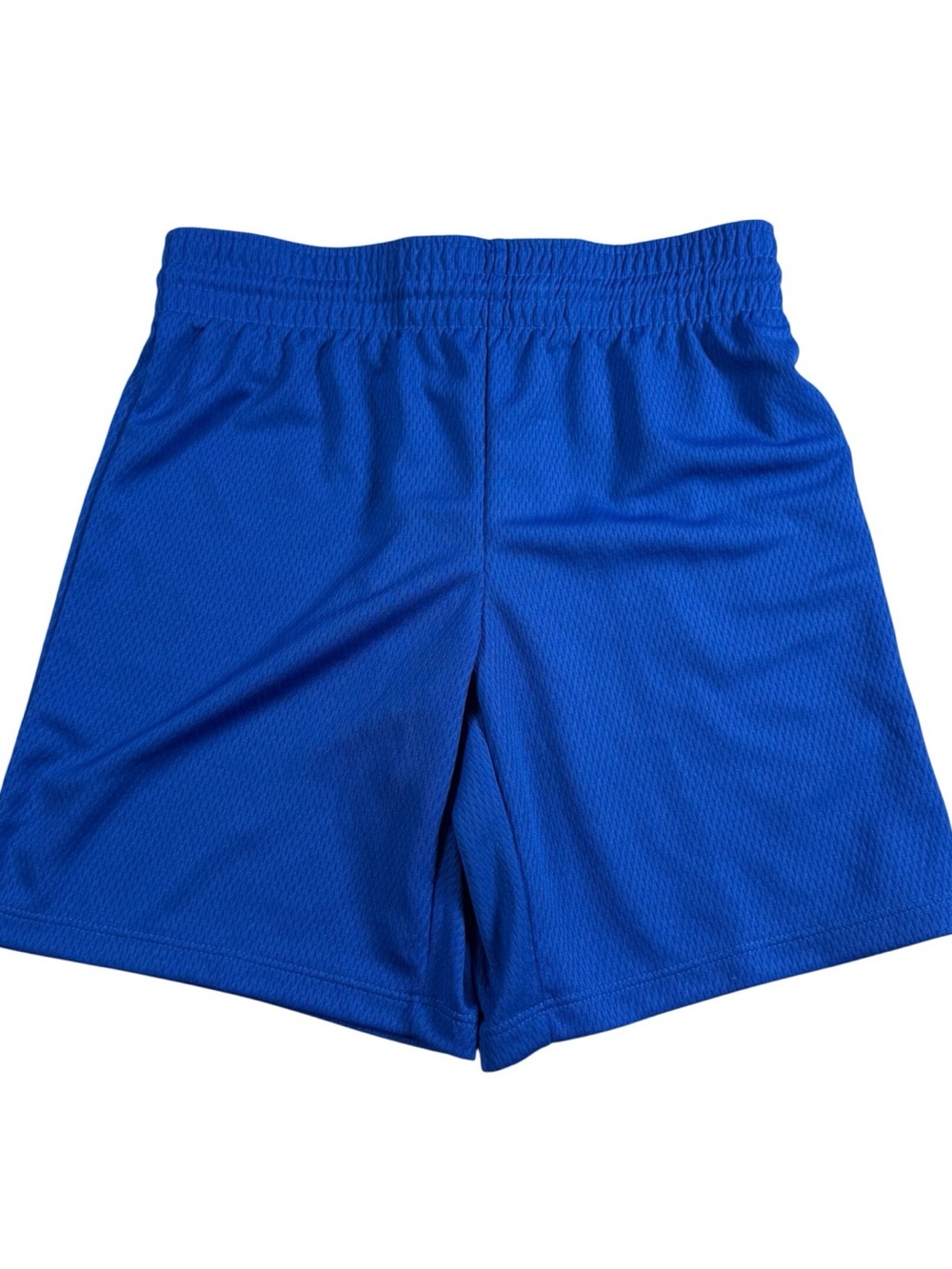 DSG Men's Athletic Mesh Shorts in Royal Blue